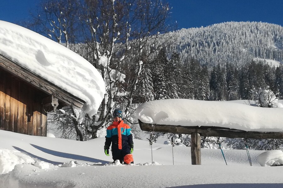 Schnee Schnee