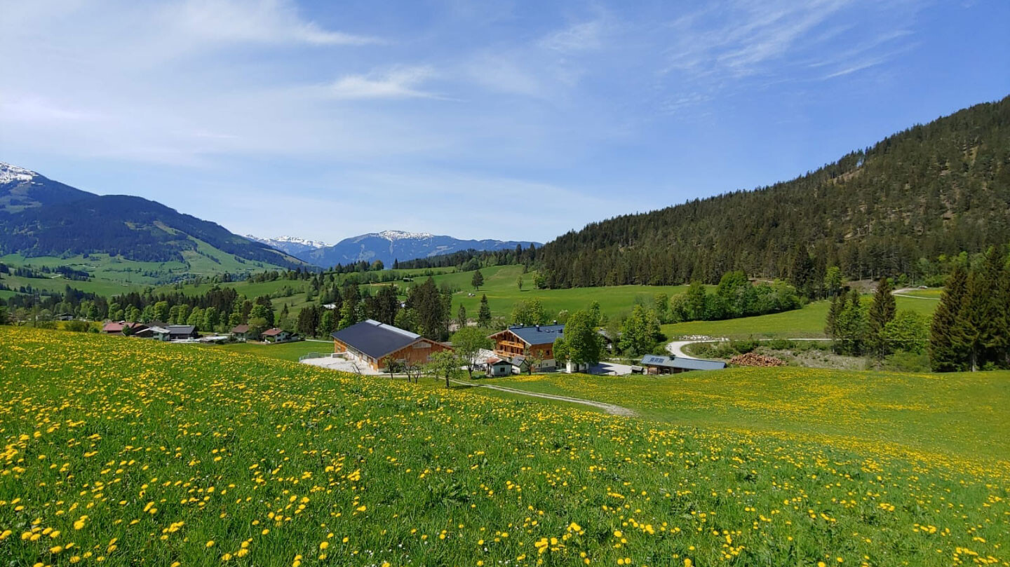 Haus und Hof